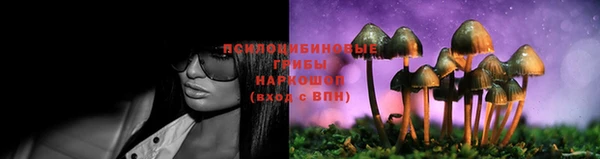 героин Алексин