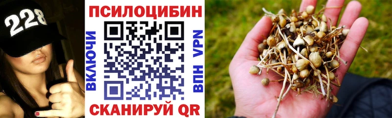 Псилоцибиновые грибы MAGIC MUSHROOMS  Ханты-Мансийск 